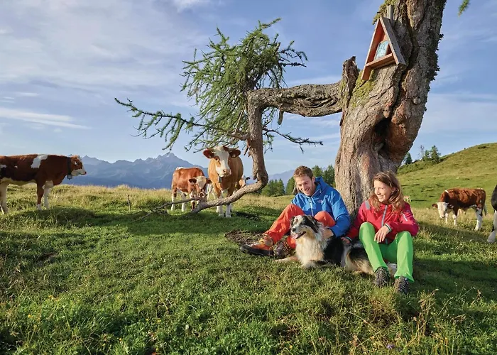 Hidden Gem In With Free Parking Lejlighed Innsbruck